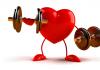 Is bodybuilding or large muscle mass bad for the heart?